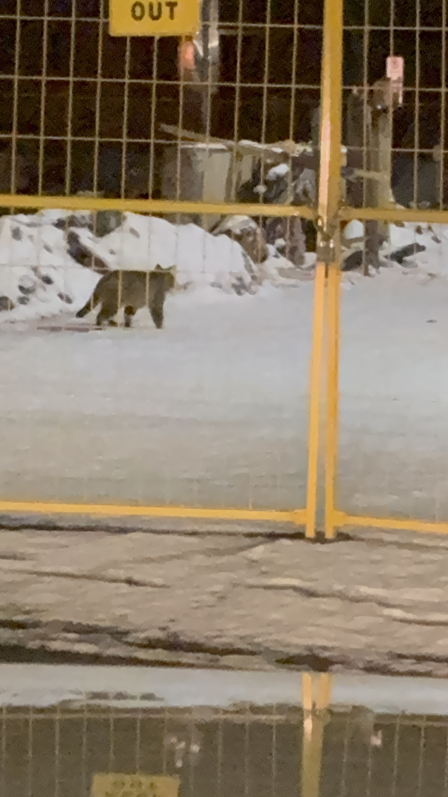 Following a Guilty Plea to Arson With Damage to Property, Owners of CrossRoad’s Brewery are Hesitating to Rebuild